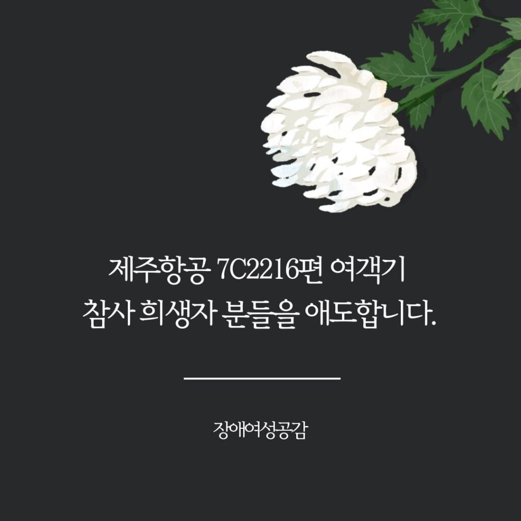 애도의 글, 위로 하얀 국화가 있다. '제주항공 7C2216편 여객기 참사 희생자 분들을 애도합니다. 장애여성공감'